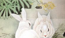 虽然出身贫苦，但靠自己就能发家致富的3个生肖