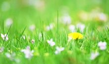 2月横财运大爆发，钞票如雨，银行存款翻百倍的3生肖