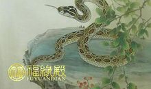 属蛇与属兔配吗