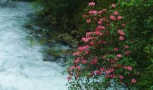 未来三年迎来吉星护佑，4属相事业运势高涨，财气一路顺畅