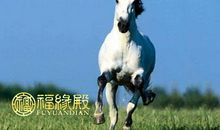 属马男生的性格特点