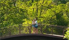 十二生肖的爱情经得起几次折腾？