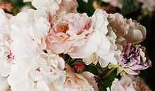 近期恐遭桃花劫的血型！灾情严重