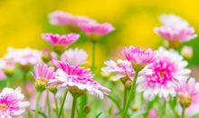 房子风水不好的表现，家人经常磕磕绊绊，阴风阵阵