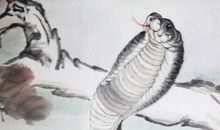 千万别娶属蛇的女人