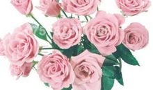 7月，即将富到流油的3个生肖