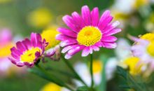 如何知道自己的房子风水好不好，风水不好总是要比周围环境更冷