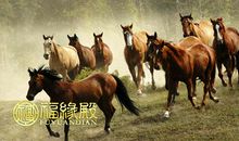 属鸡与属马婚姻合适吗