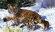 翻起脸来六亲不认的生肖