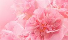 生肖属羊的男人2020年贵人运，龙德贵人落在人缘宫，化解小人