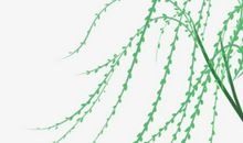 2020庚子年农历十一月二十一出生的男孩怎么起名字，五行属什么