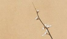 2020年3月27号三月初四生的女孩是什么命，起什么名字有福气