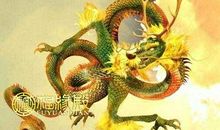 属兔的和属龙的相配吗