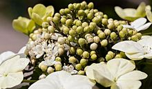 6月16号后，4属相运势转好，财富增加，财源滚滚，日子多金富贵