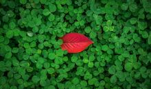 清秀可爱，美丽动人，这几大星座的女生人见人爱！