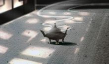 家里客厅不亮破财吗 破财风水