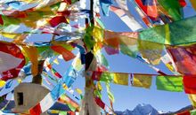 寅时出生的人2020鼠年能不能结婚嫁娶，婚姻恋爱都有好结果