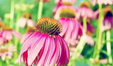 3.18-4.1日走好运，不见霉运，财运攀升，致富有道的四大生肖