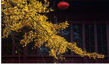 一位高僧说：嘴是最好的风水，不吝啬这4种话，福气也就来了