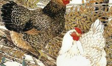 四月到六月，3生肖如走在云端，赚钱更得心应手，不再煎熬苦日子