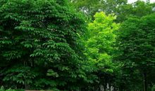 含有火属性的女孩名字，这些字带有火属性都可用于女孩取名