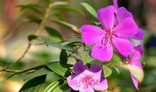 生肖属马的男人2020年贵人运，官星旺盛，行贵人大运