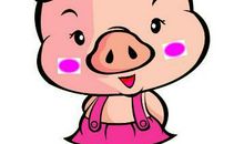 2019年属猪人选房风水吉凶位查询(图文)