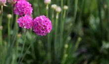 面相算命：财路滔滔不时，从不为钱发愁的面相