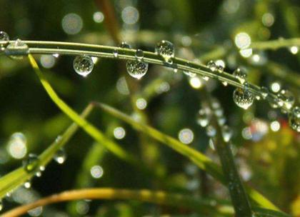 2020年雨水后一天适合安葬逝者吗,关于雨水节气俗语推荐！(图文) 1