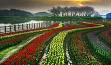 5月初生肖虎运势飙涨，财富自来