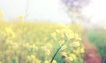 水瓶座：充满奇思妙想的创造家