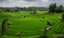 这些星座女不喜欢听男人的甜言蜜语！