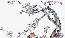 2020年农历十一月初三出生的女孩起什么名字有气质，五行属什么