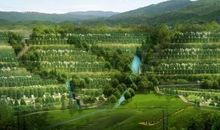 如何看祖坟风水