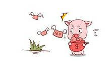 属猪男和属猪女相配吗，同属相的人会更合适吗？