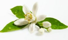 进入下半年，4属相好运回升，财源广进，发家不愁，生活更舒心