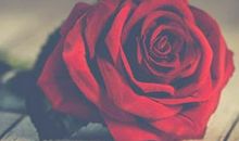 开扒12生肖的艳遇指数，实名羡慕