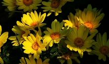 生肖属兔的男人2020年贵人运，有福德贵人入宫，但犯太岁有所削弱