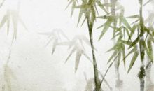 测测别人眼中的你很好搞定吗