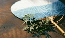 打牌没底气输到怕的四生肖！