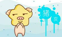 为啥猪宝宝不能年尾 出生运势怎么样