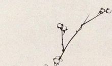 农历2020年腊月十二月二十八出生的男孩怎么起名字霸气独特