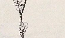 农历2020年腊月十二月二十九出生的男孩怎么起名字，高分名字推荐