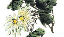 2020庚子鼠年3月29号出生的人性格命运解析，五行八字查询