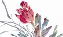 2020年正月出生的男孩起名大全，鼠宝宝取名禁用有脚分开之字