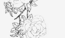 2020庚子鼠年3月31号出生的人性格命运解析，五行八字查询