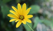 3月到4月，有贵人相助，大富大贵，吃喝不愁的4生肖