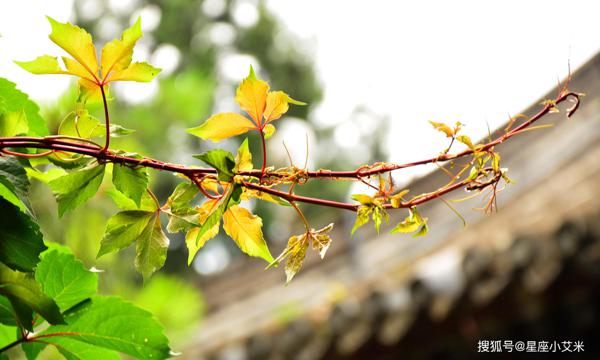 3月到4月，有贵人相助，大富大贵，吃喝不愁的4生肖 1