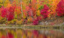 如何判断自己是否童子命，从性格上来判断