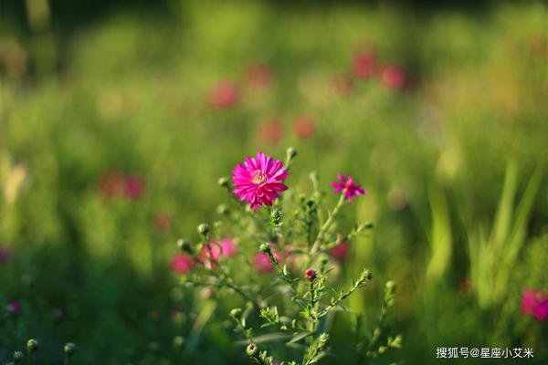 3月到4月，有贵人相助，大富大贵，吃喝不愁的4生肖 2